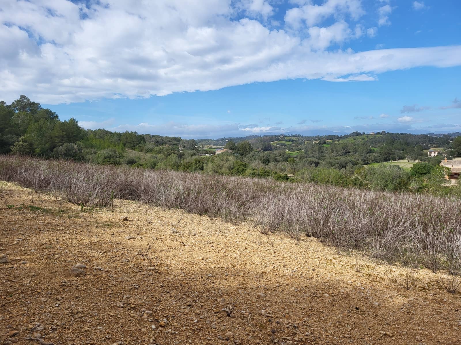 Mark till salu i Sant Joan - 49 900 € (Ref: 9991084)