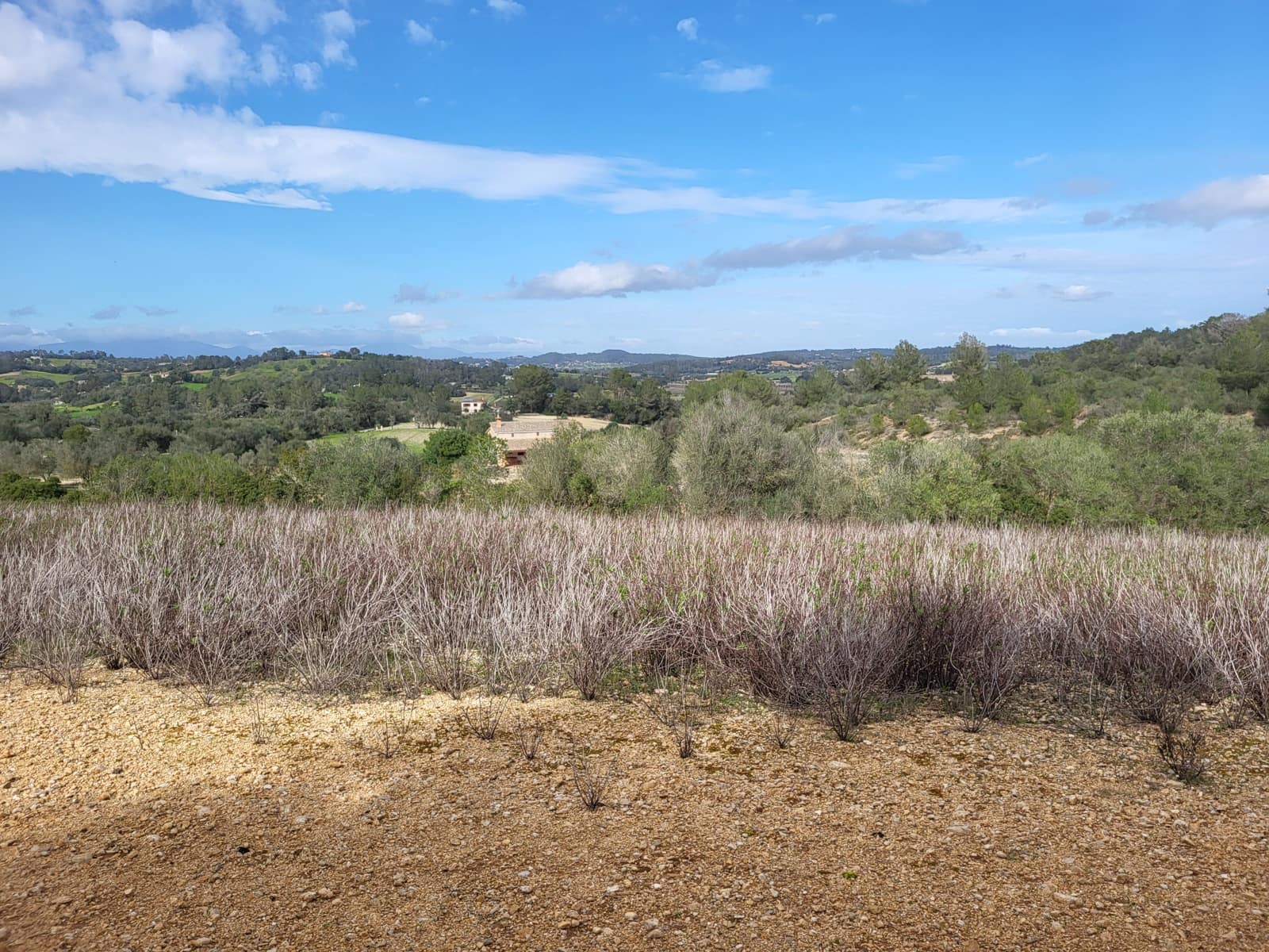 Mark till salu i Sant Joan - 49 900 € (Ref: 9991084)