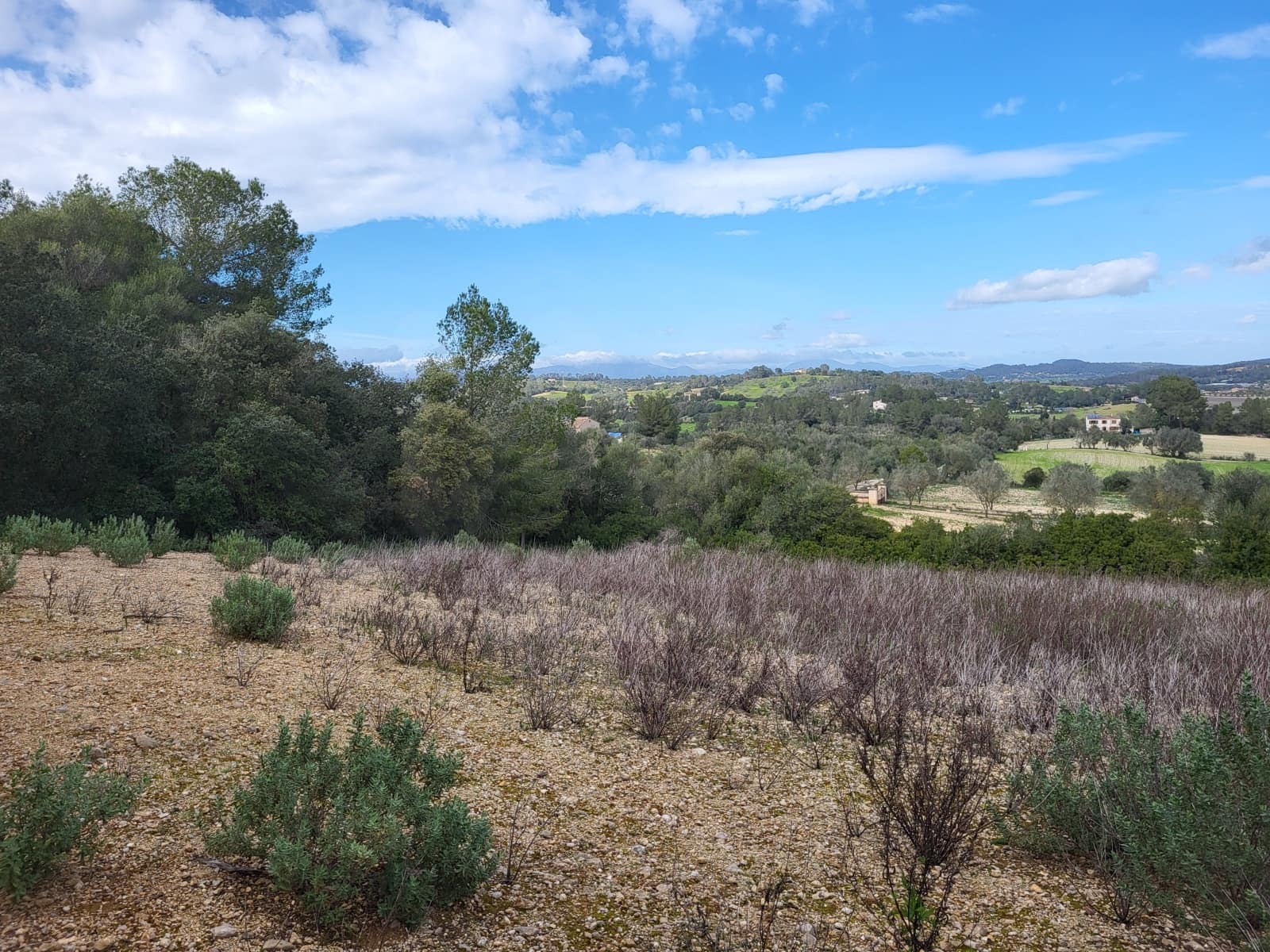 Mark till salu i Sant Joan - 49 900 € (Ref: 9991084)