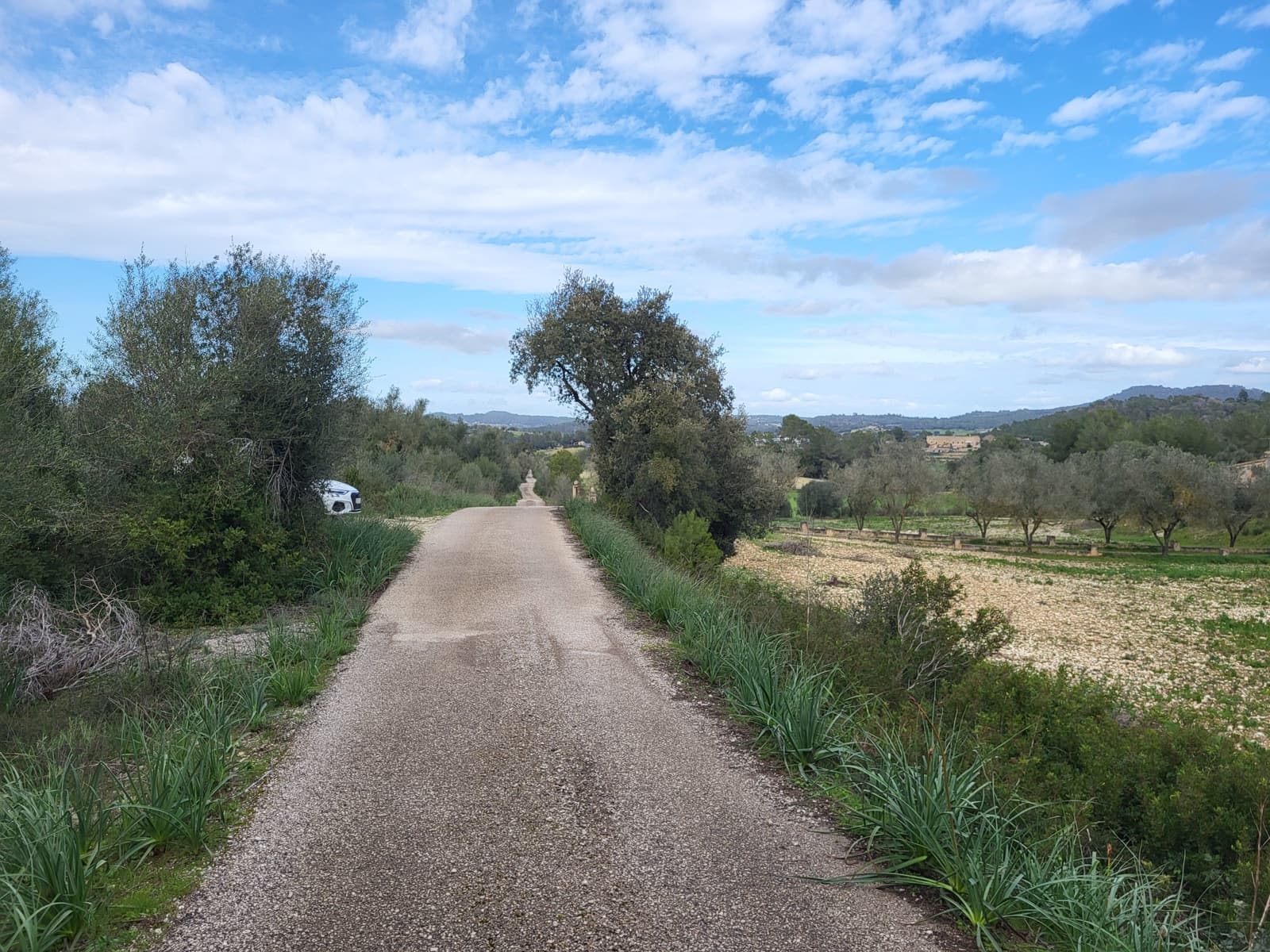 Mark till salu i Sant Joan - 49 900 € (Ref: 9991084)