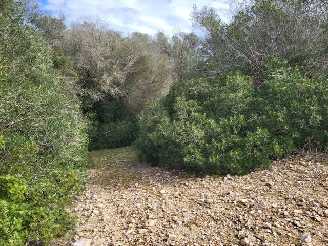 Mark till salu i Sant Joan - 49 900 € (Ref: 9991084)