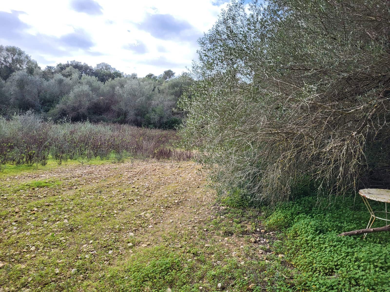 Mark till salu i Sant Joan - 49 900 € (Ref: 9991084)