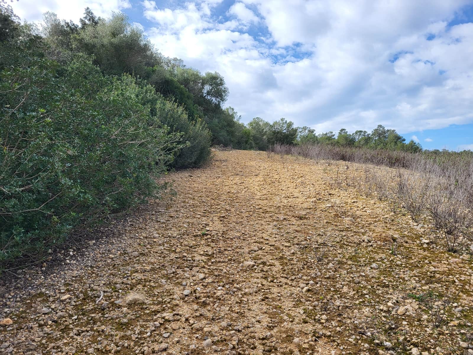 Mark till salu i Sant Joan - 49 900 € (Ref: 9991084)