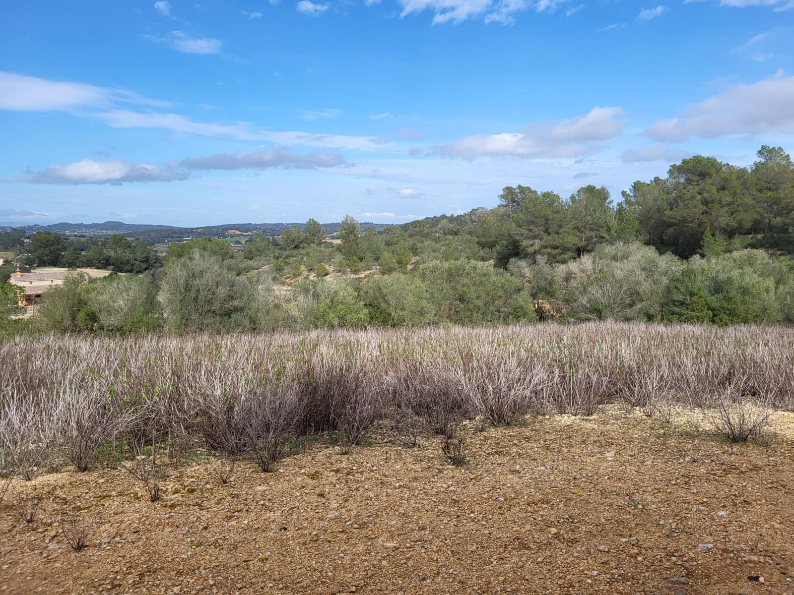 Mark till salu i Sant Joan - 49 900 € (Ref: 9991084)
