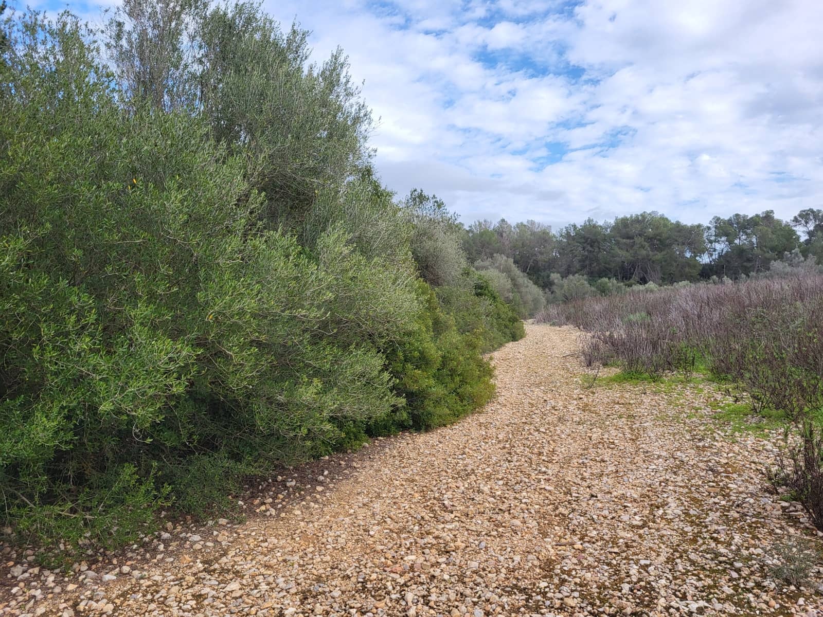 Mark till salu i Sant Joan - 49 900 € (Ref: 9991084)