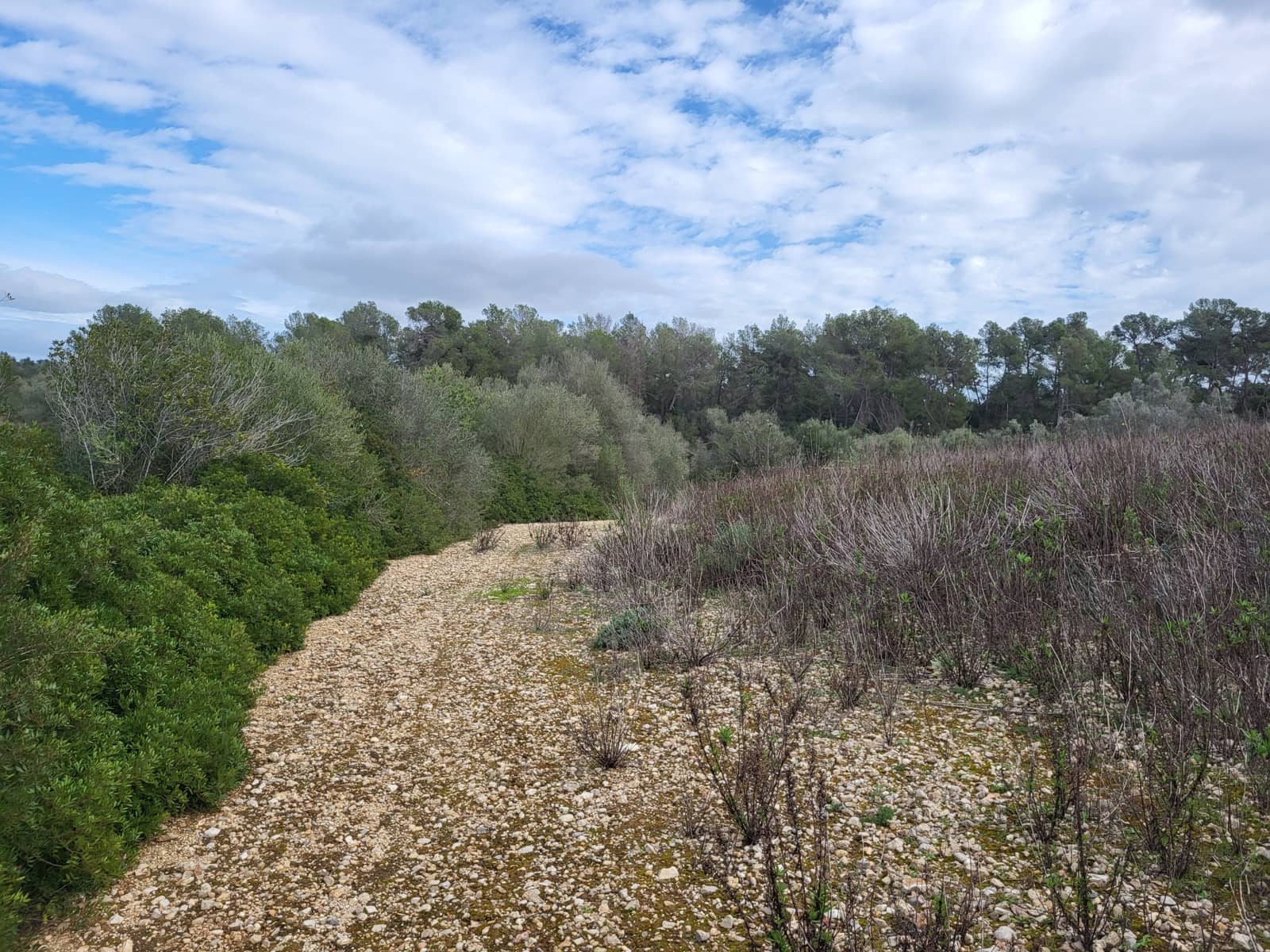 Mark till salu i Sant Joan - 49 900 € (Ref: 9991084)