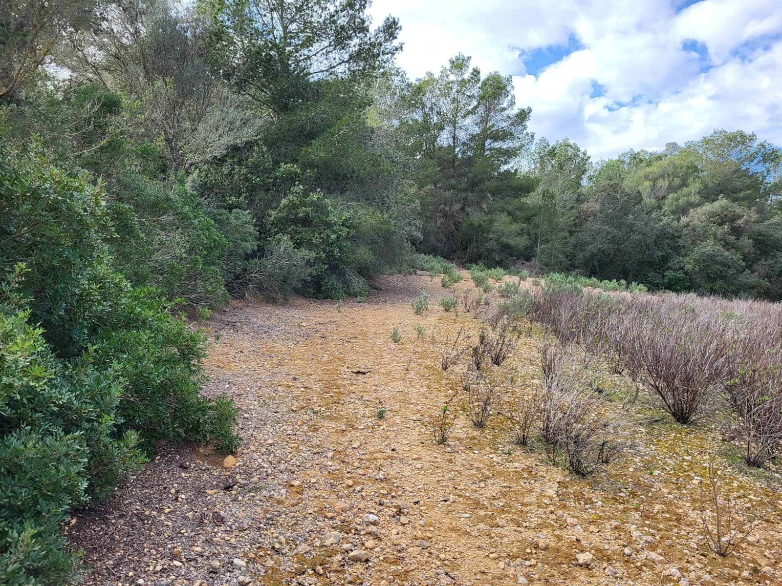 Mark till salu i Sant Joan - 49 900 € (Ref: 9991084)