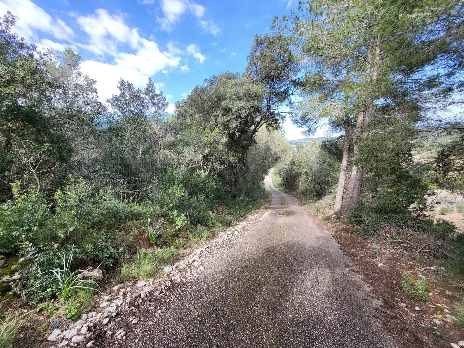 Mark till salu i Sant Joan - 49 900 € (Ref: 9991084)