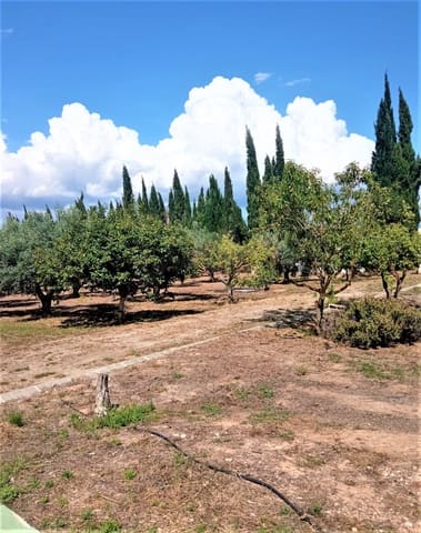 5 soverom Hus til salgs i Móra d'Ebre med svømmebasseng garasje - € 475 000 (Ref: 9991115)