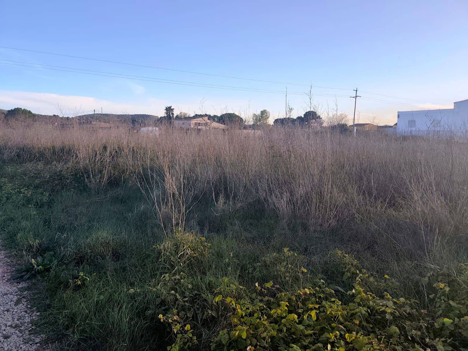 Ubebygd land til salgs i Tarragona by - € 15 000 (Ref: 9991122)