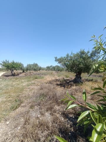 Ubebygd land til salgs i L'Ametlla de Mar - € 75 000 (Ref: 9991140)