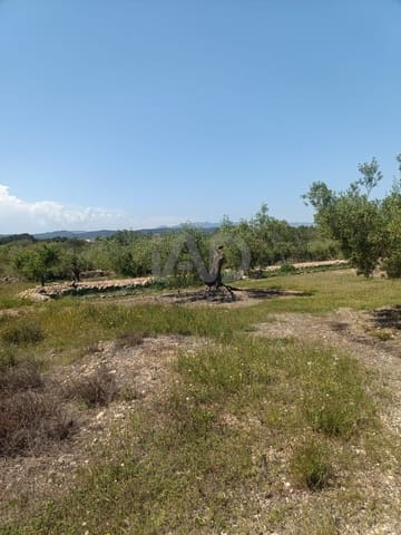 Ubebygd land til salgs i L'Ametlla de Mar - € 75 000 (Ref: 9991140)