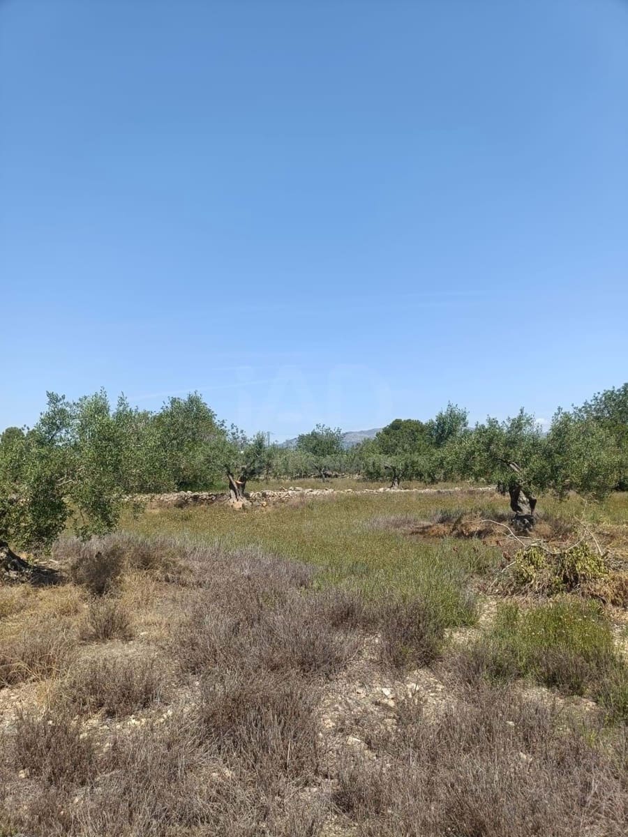 Ubebygd land til salgs i L'Ametlla de Mar - € 75 000 (Ref: 9991140)