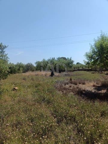 Ubebygd land til salgs i L'Ametlla de Mar - € 75 000 (Ref: 9991140)