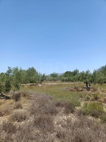 Ubebygd land til salgs i L'Ametlla de Mar - € 75 000 (Ref: 9991140)