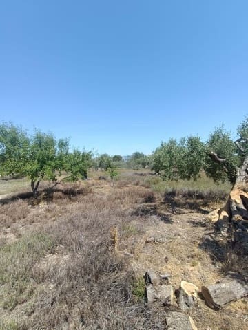 Ubebygd land til salgs i L'Ametlla de Mar - € 75 000 (Ref: 9991140)
