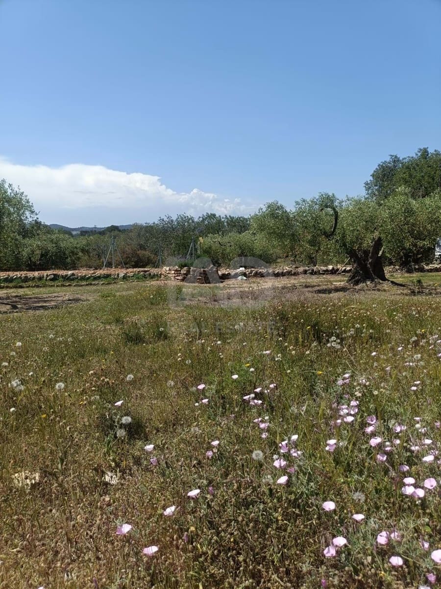 Ubebygd land til salgs i L'Ametlla de Mar - € 75 000 (Ref: 9991140)