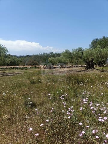 Ubebygd land til salgs i L'Ametlla de Mar - € 75 000 (Ref: 9991140)