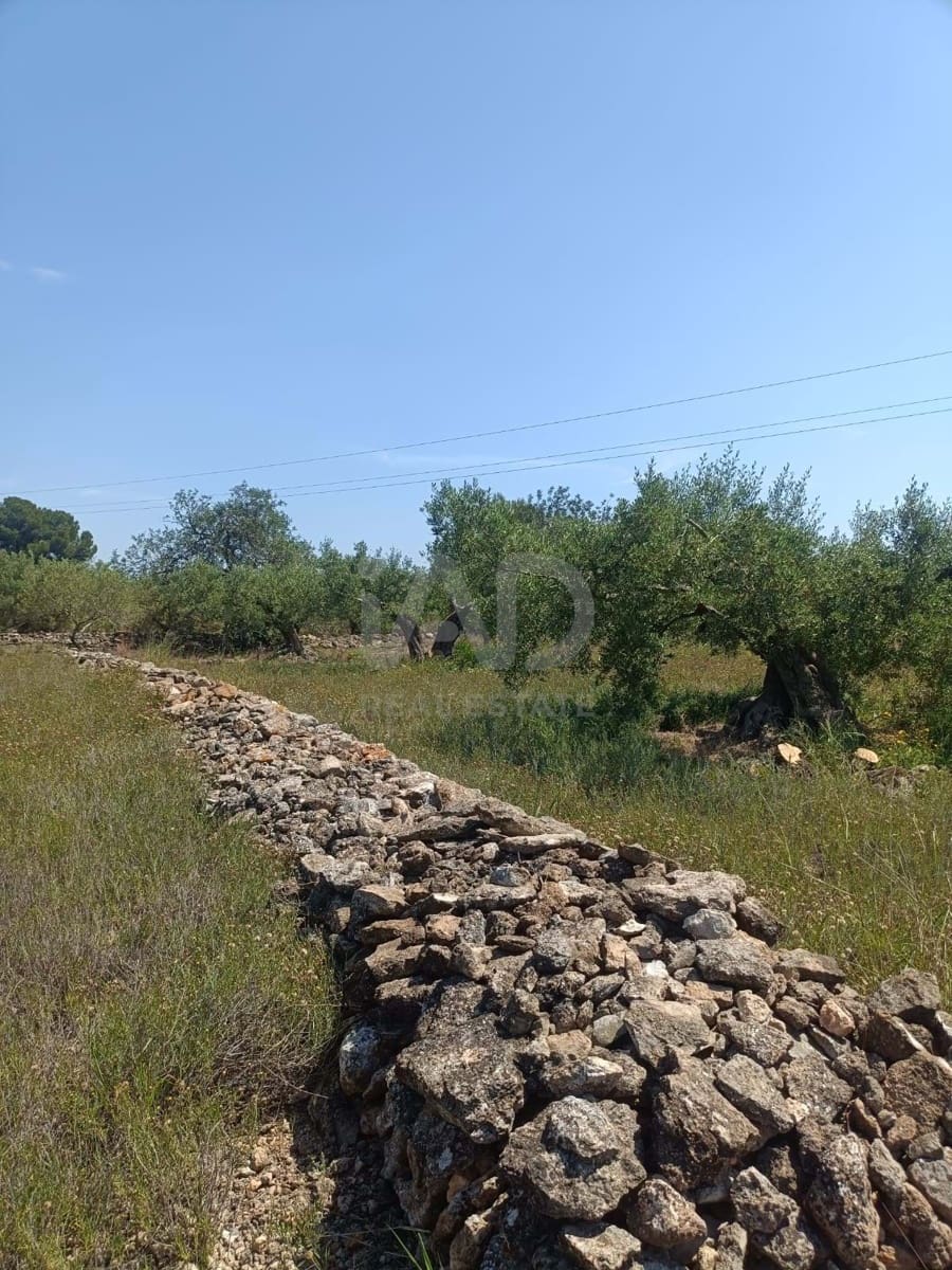 Ubebygd land til salgs i L'Ametlla de Mar - € 75 000 (Ref: 9991140)
