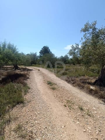 Ubebygd land til salgs i L'Ametlla de Mar - € 75 000 (Ref: 9991140)