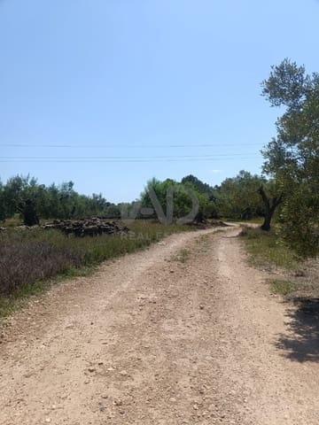 Ubebygd land til salgs i L'Ametlla de Mar - € 75 000 (Ref: 9991140)