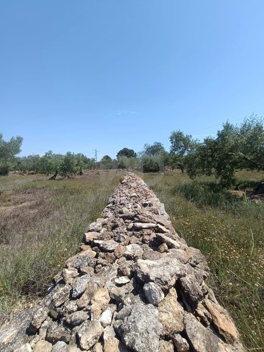 Ubebygd land til salgs i L'Ametlla de Mar - € 75 000 (Ref: 9991140)
