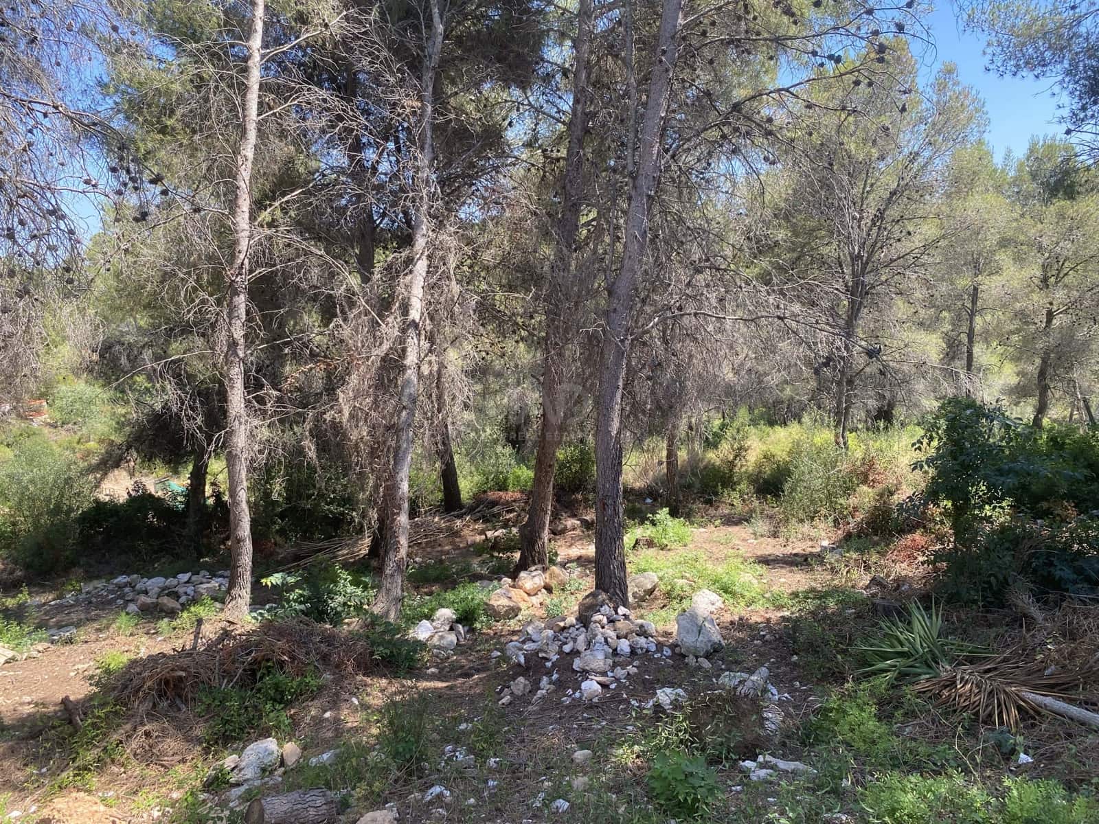 Bouwgrond te koop in Tarragona stad - € 55.000 (Ref: 9991151)