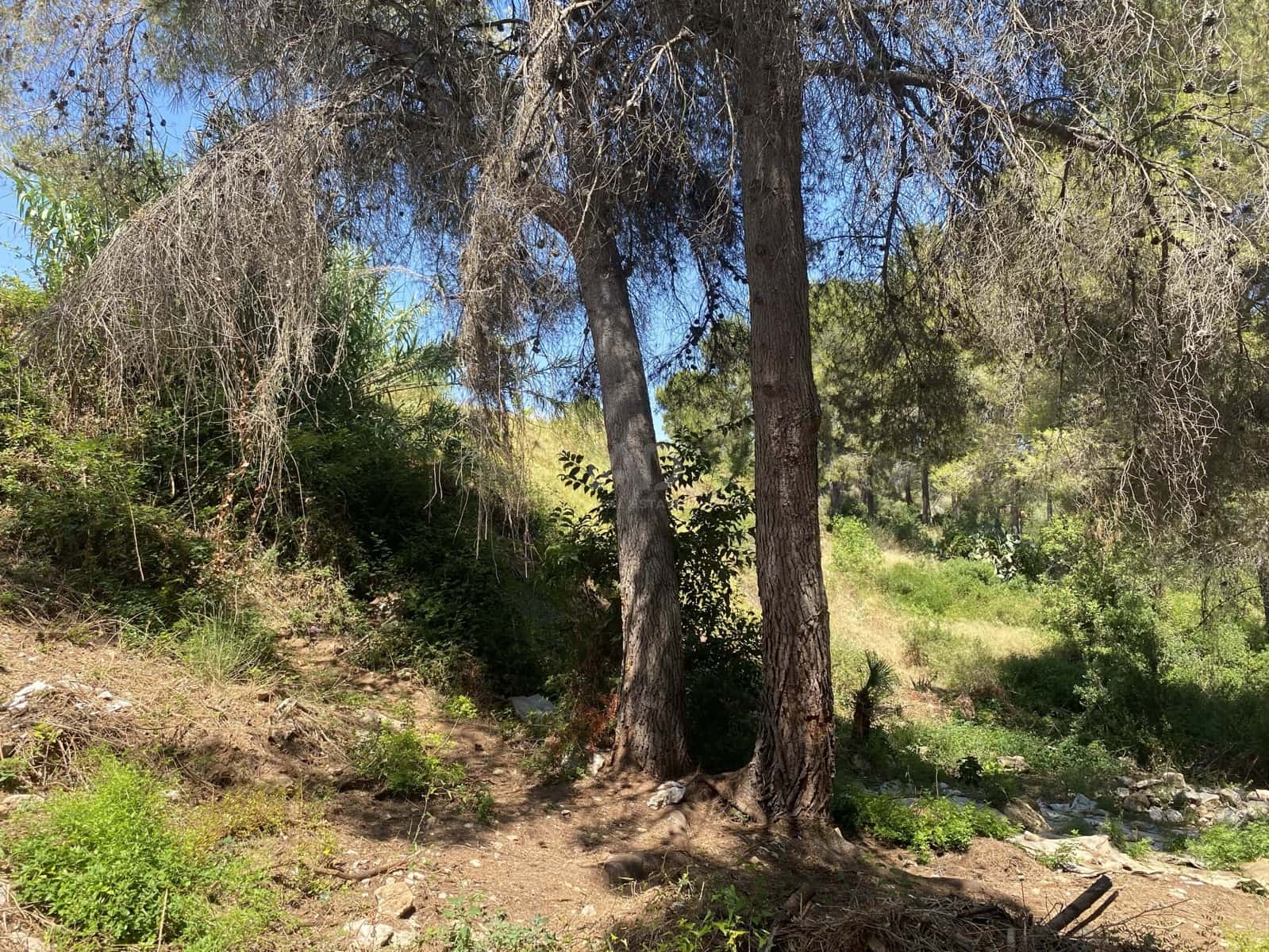 Bouwgrond te koop in Tarragona stad - € 55.000 (Ref: 9991151)