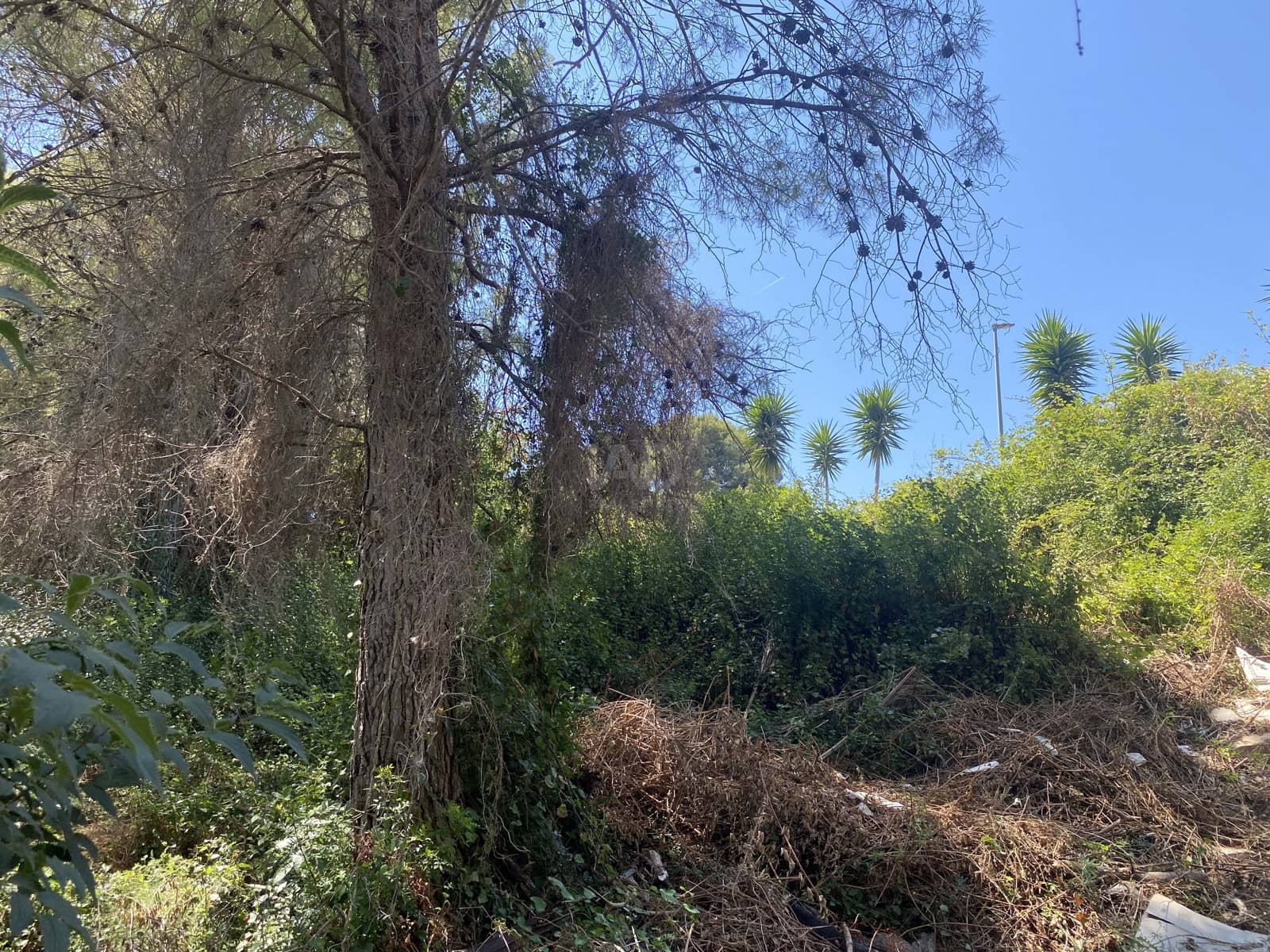 Bouwgrond te koop in Tarragona stad - € 55.000 (Ref: 9991151)