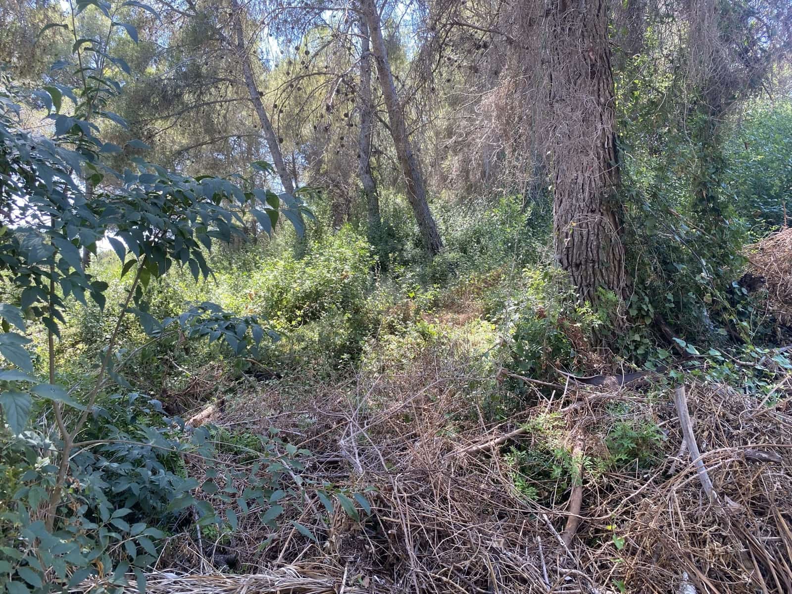 Bouwgrond te koop in Tarragona stad - € 55.000 (Ref: 9991151)