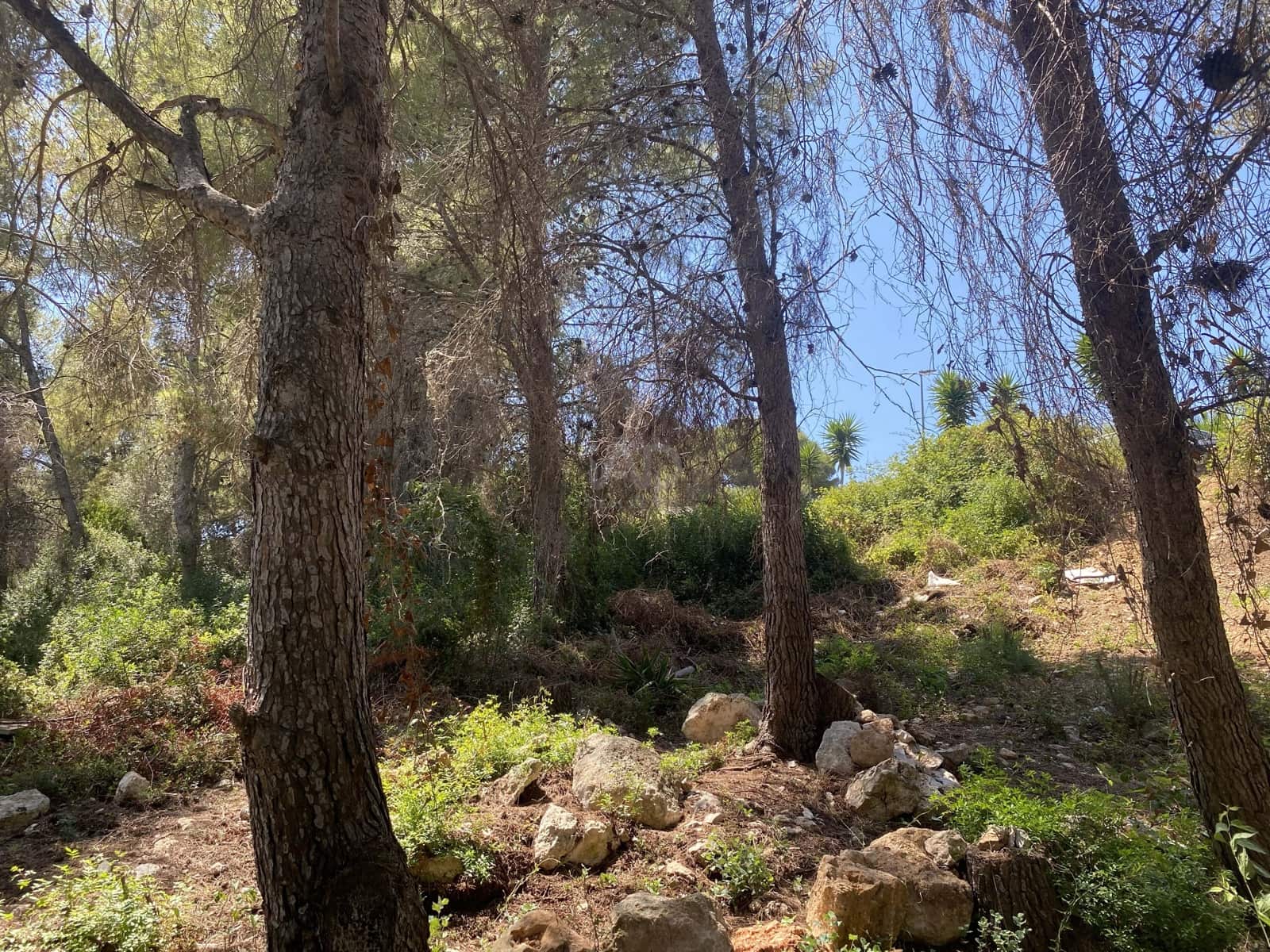 Bouwgrond te koop in Tarragona stad - € 55.000 (Ref: 9991151)