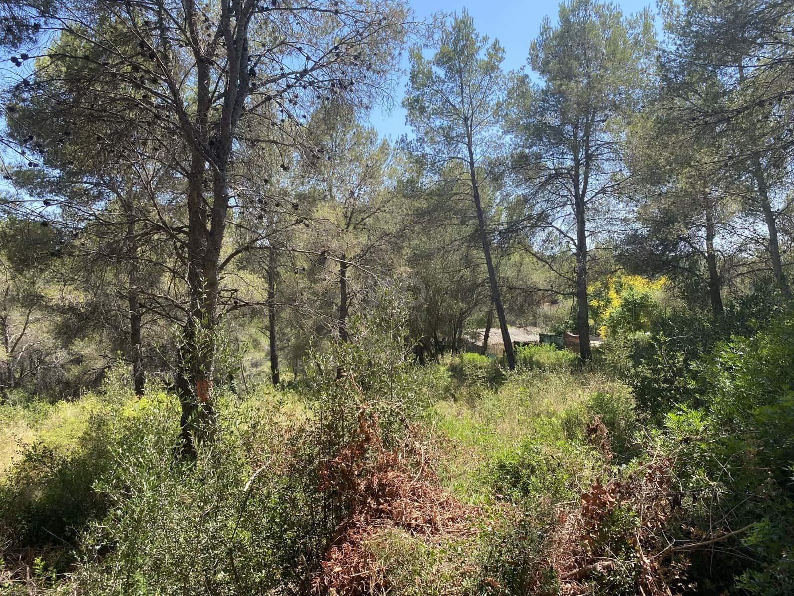 Bouwgrond te koop in Tarragona stad - € 55.000 (Ref: 9991151)