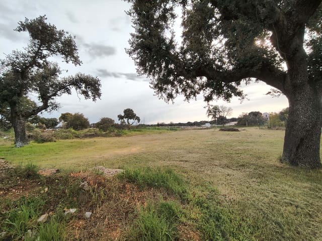 Area Edificabile in vendita in Carrascal de Barregas - 27.500 € (Rif: 9991156)