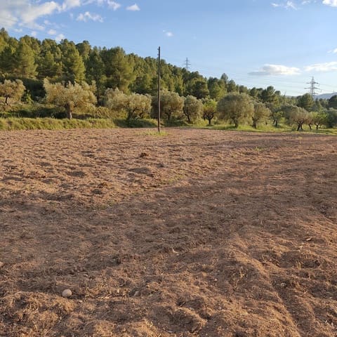 Ubebygd land til salgs i Tarragona by - € 30 000 (Ref: 9991160)