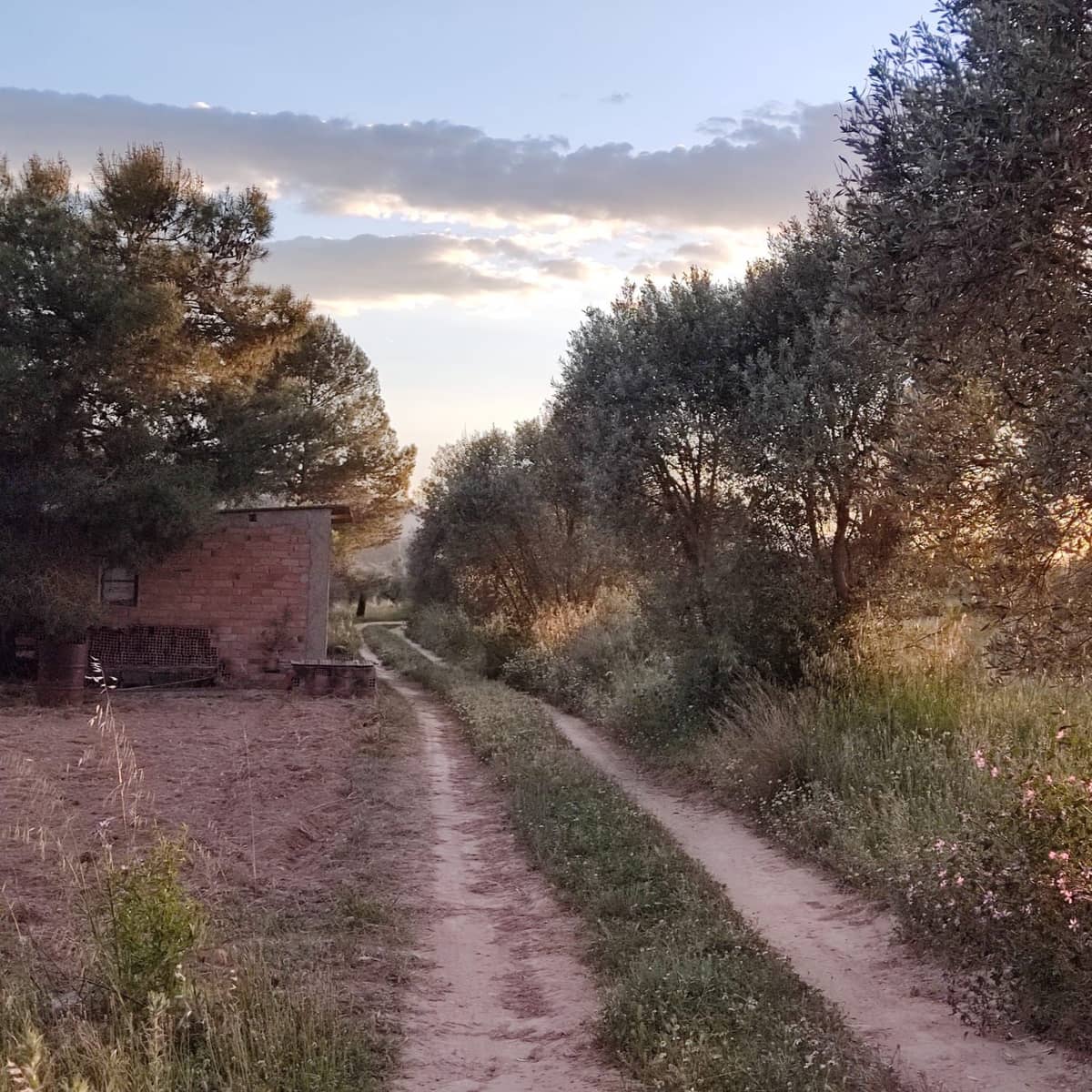 Ubebygd land til salgs i Tarragona by - € 30 000 (Ref: 9991160)