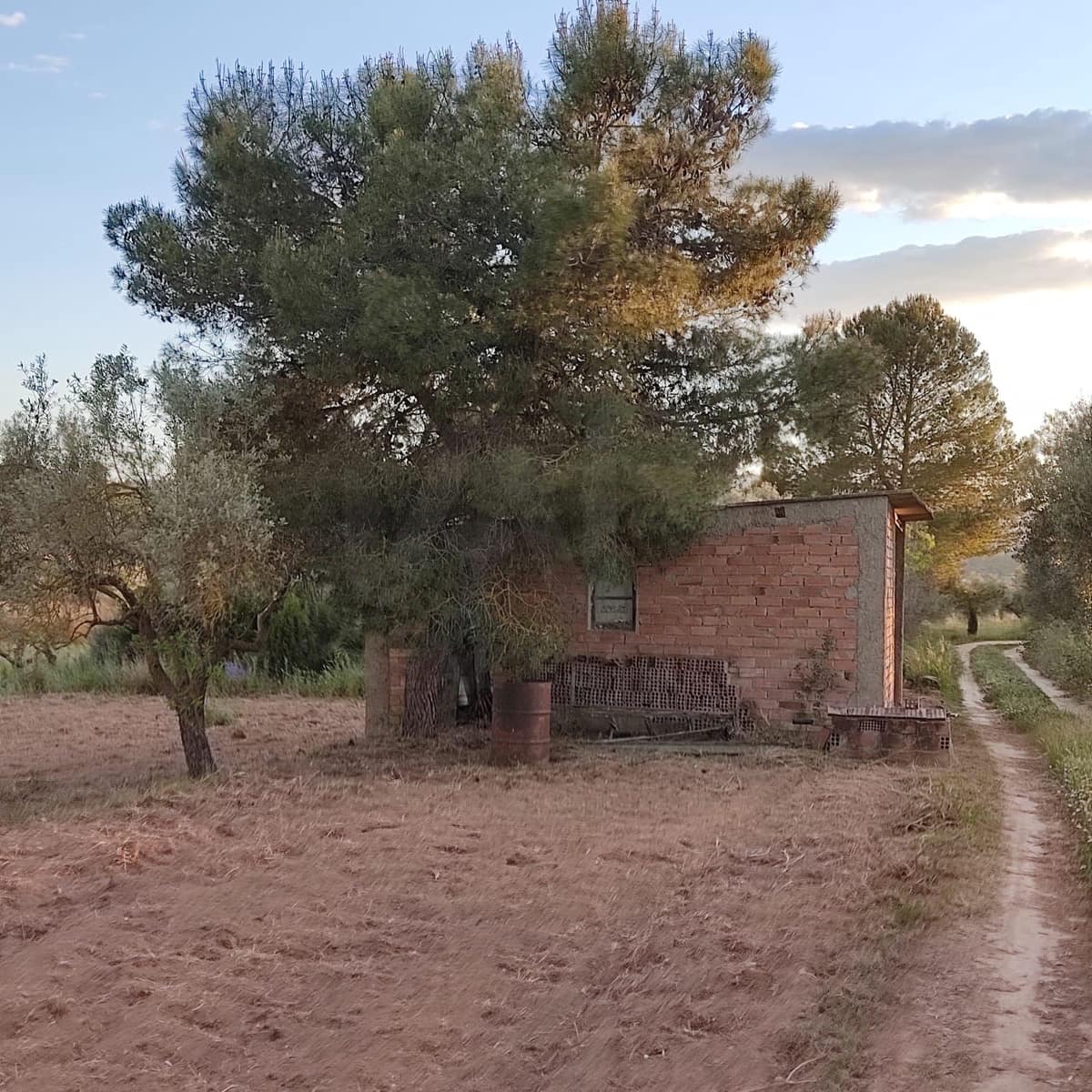 Ubebygd land til salgs i Tarragona by - € 30 000 (Ref: 9991160)