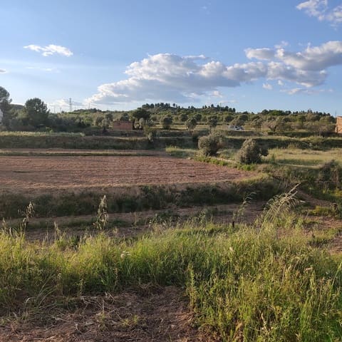 Ubebygd land til salgs i Tarragona by - € 30 000 (Ref: 9991160)