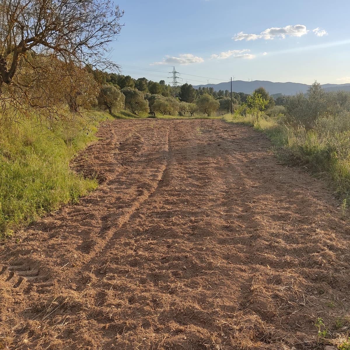 Ubebygd land til salgs i Tarragona by - € 30 000 (Ref: 9991160)