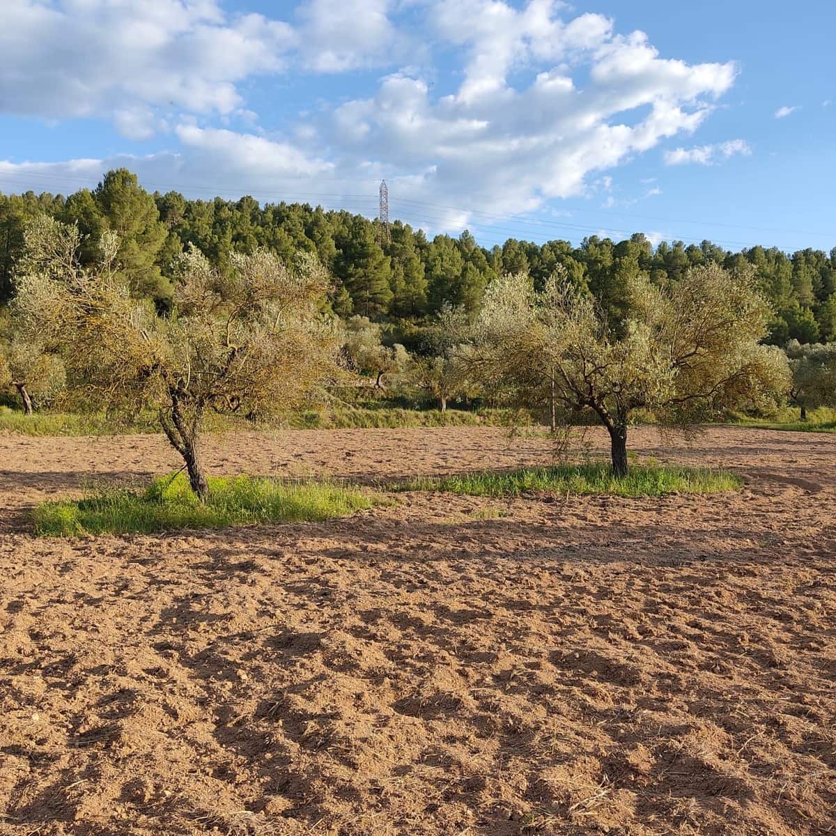 Ubebygd land til salgs i Tarragona by - € 30 000 (Ref: 9991160)