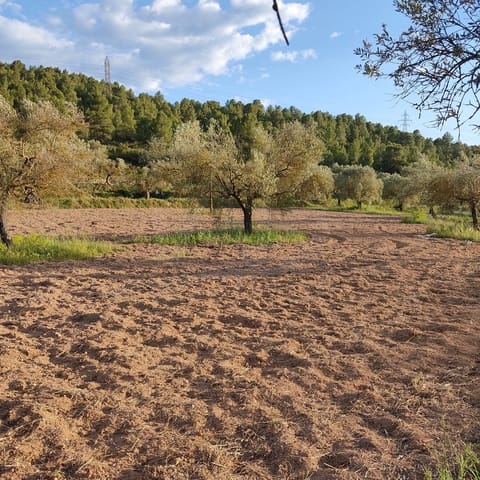 Ubebygd land til salgs i Tarragona by - € 30 000 (Ref: 9991160)