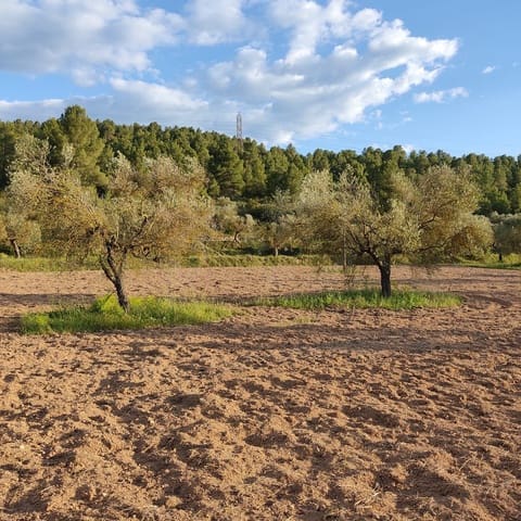 Ubebygd land til salgs i Tarragona by - € 30 000 (Ref: 9991160)