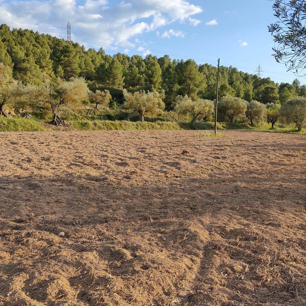 Ubebygd land til salgs i Tarragona by - € 30 000 (Ref: 9991160)