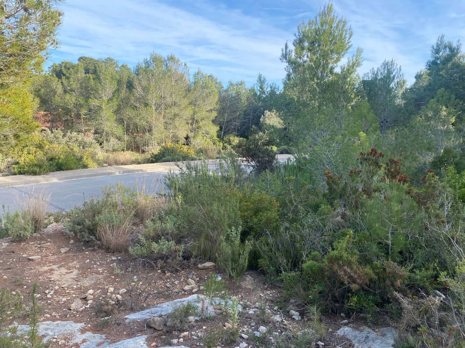 Solar/Parcela en El Vendrell en venta - 60.000 € (Ref: 9991162)