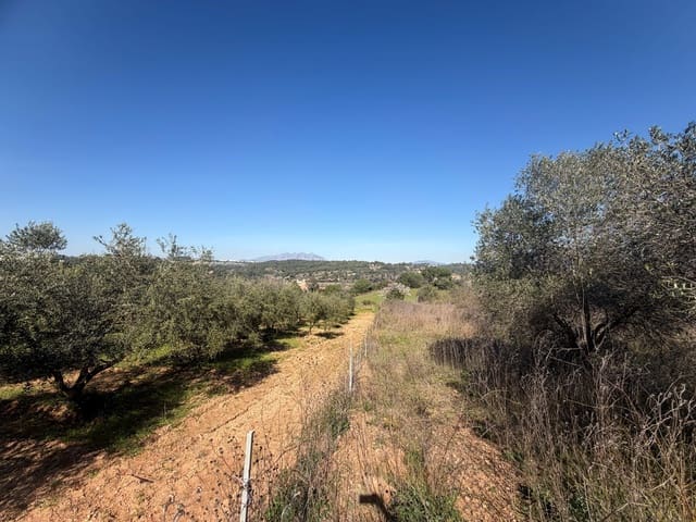 Ubebygd land til salgs i Barcelona by - € 175 000 (Ref: 9991175)