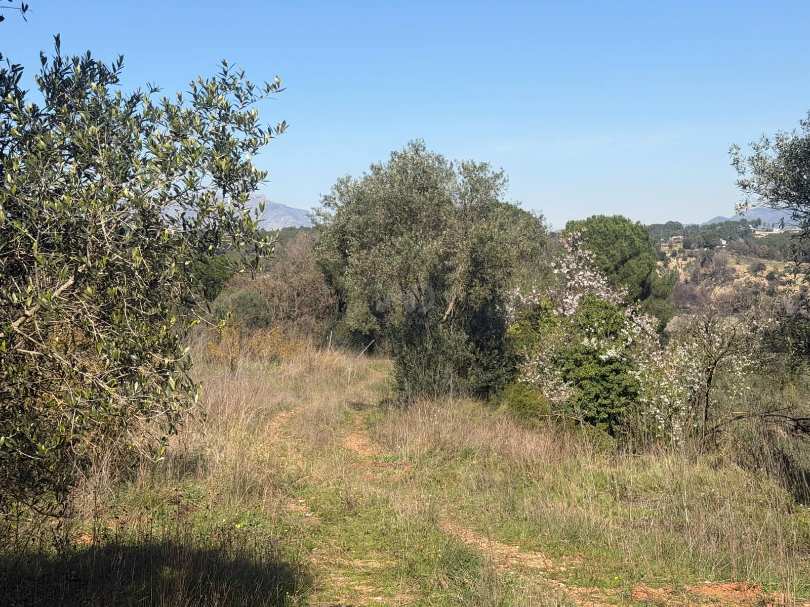 Ubebygd land til salgs i Barcelona by - € 175 000 (Ref: 9991175)