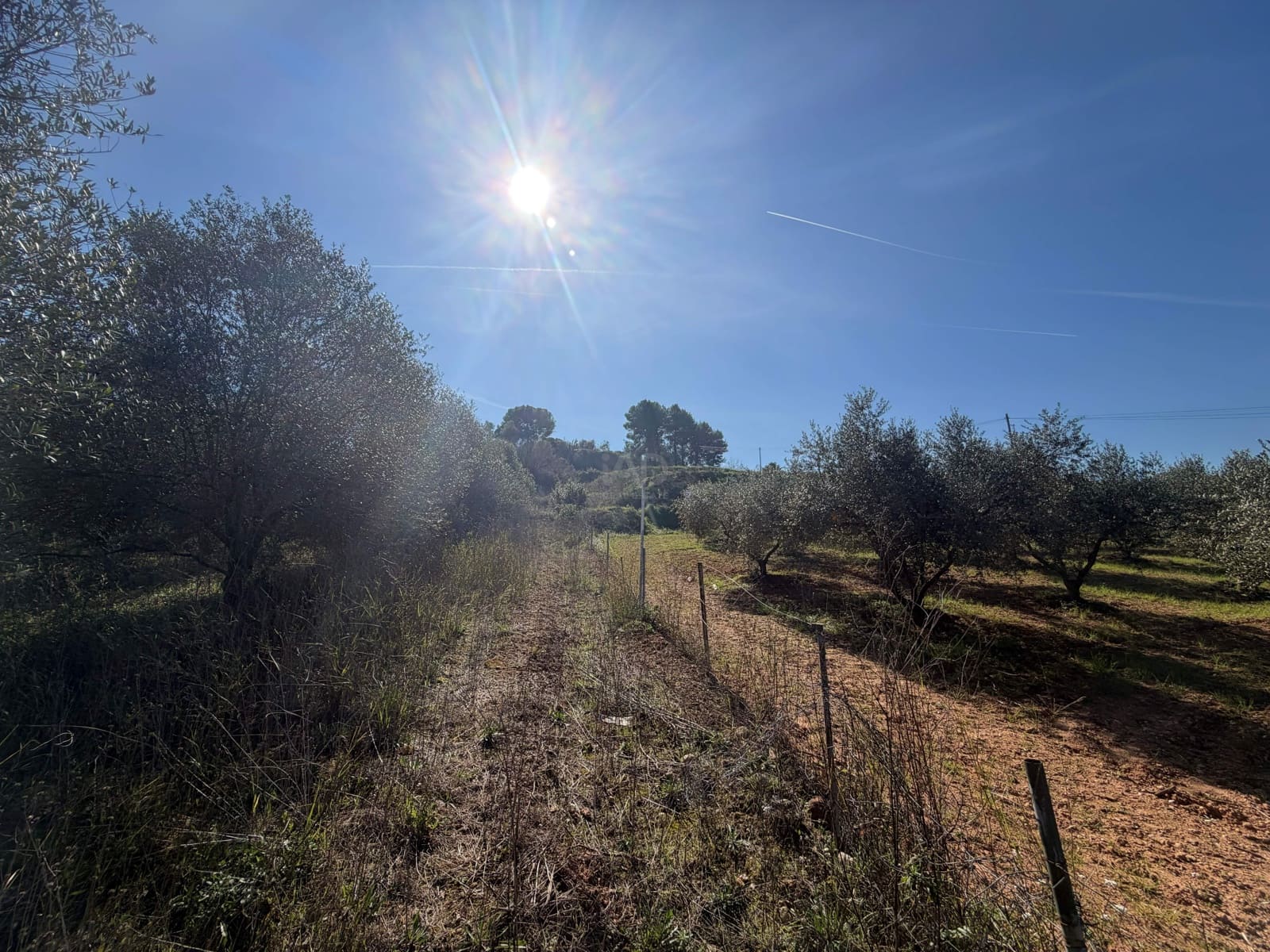 Ubebygd land til salgs i Barcelona by - € 175 000 (Ref: 9991175)