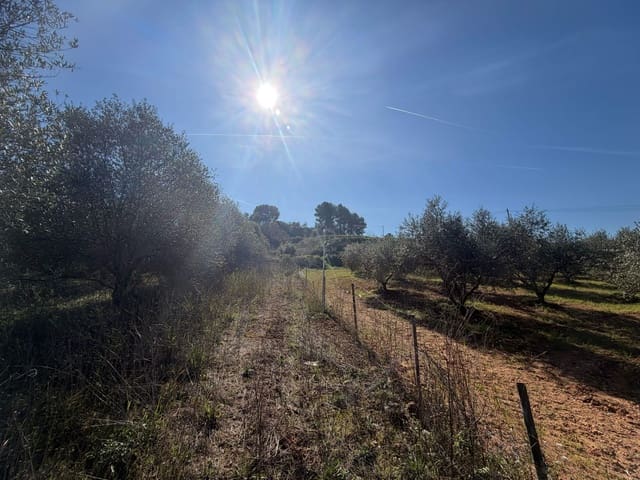 Ubebygd land til salgs i Barcelona by - € 175 000 (Ref: 9991175)