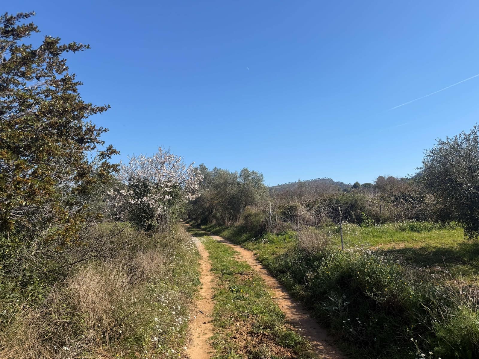 Ubebygd land til salgs i Barcelona by - € 175 000 (Ref: 9991175)