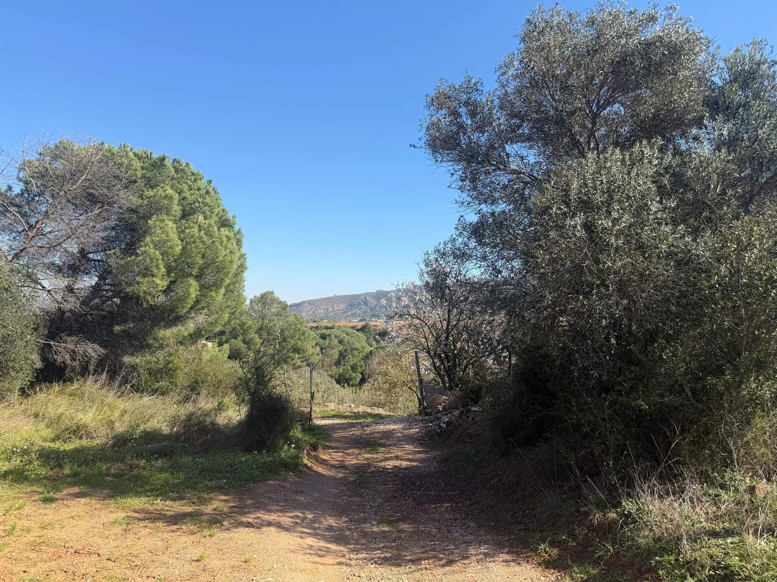 Ubebygd land til salgs i Barcelona by - € 175 000 (Ref: 9991175)