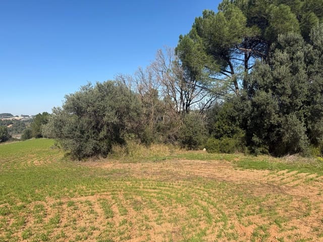 Ubebygd land til salgs i Barcelona by - € 175 000 (Ref: 9991175)